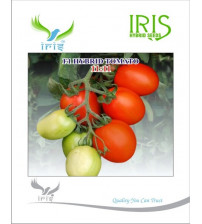 Tomato Iris F1 11:11 - 10 grams